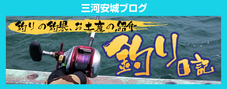 ނ̒މʁAyY̏ЉuނLv