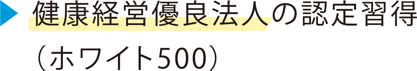 NocDǖ@l̔FKizCg500j